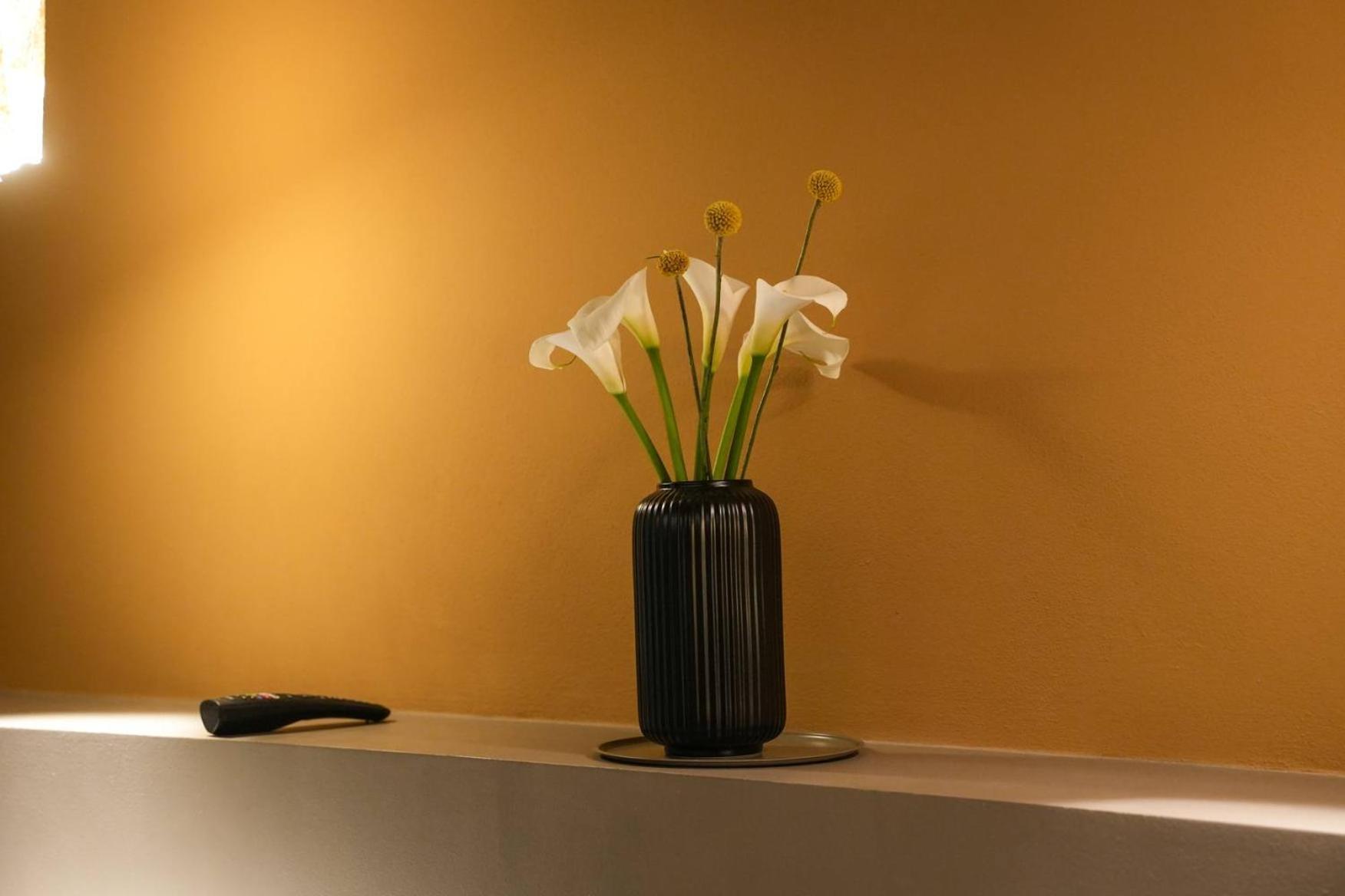 Sant'Eufemia 30 Bed & Breakfast Modena Exterior foto